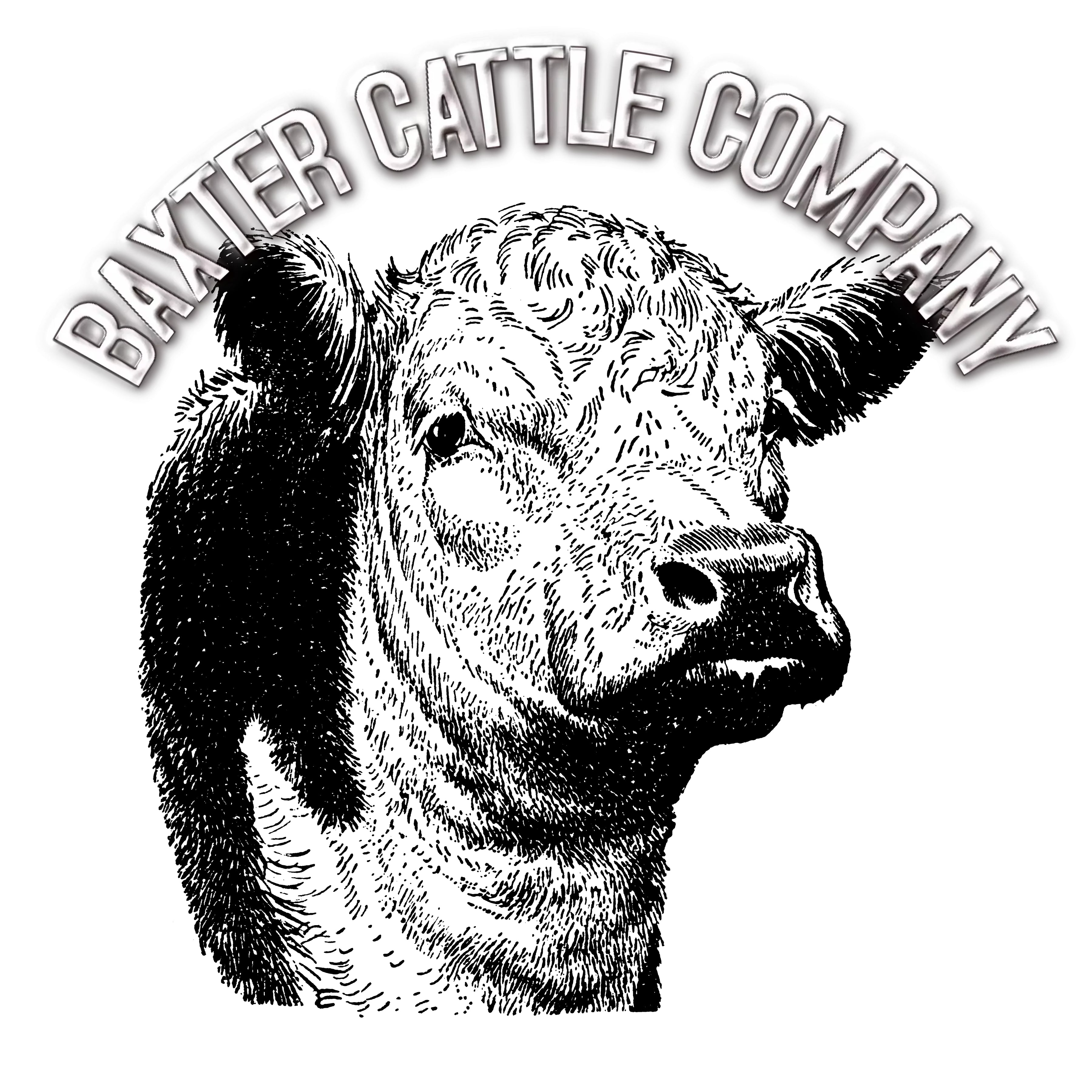 Baxter Cattle Company